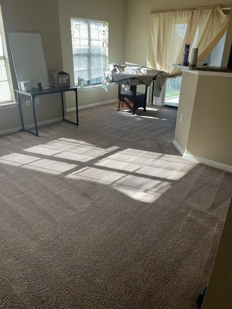 Vacuumed carpet in a sunny room